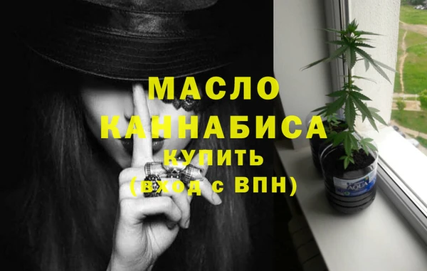 молекула духа Бородино