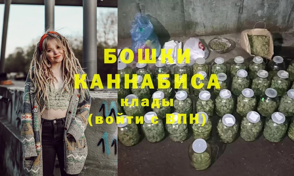 молекула духа Бородино
