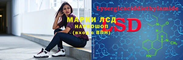 молекула духа Бородино