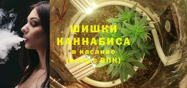 молекула духа Бородино