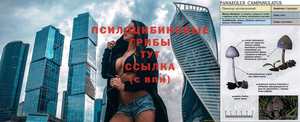 скорость Бронницы