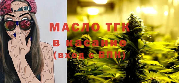 молекула духа Бородино