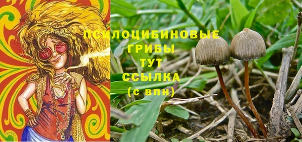 скорость Бронницы