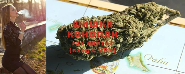 молекула духа Бородино
